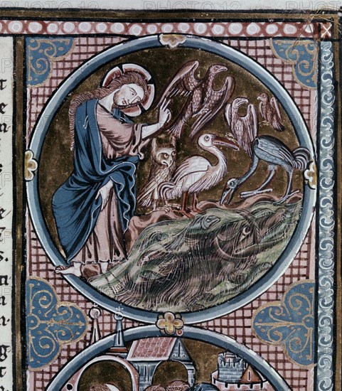 AUVERGNE G 1228/1249
BIBLIA DE SAN LUIS DE FRANCIA-TOMO I-CREACION ANIMALES Y PECES- 1226/34-MINIATURA GOTICA
TOLEDO, CATEDRAL BIBLIOTECA
TOLEDO

This image is not downloadable. Contact us for the high res.