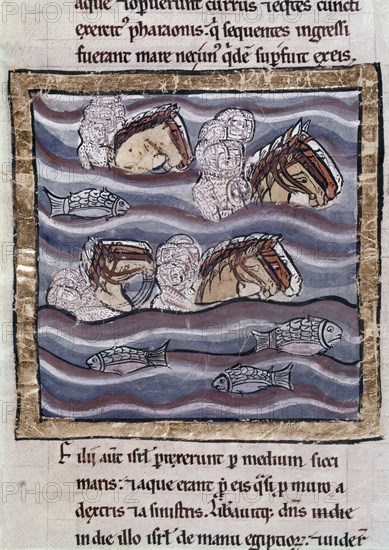 BIBLIA S XIII- TOMO I -EL FARAON Y SU EJERCITO SE AHOGAN EN EL PASO DEL MAR ROJO-EXODO-ANTIGUO TESTA
MADRID, ACADEMIA DE HISTORIA
MADRID