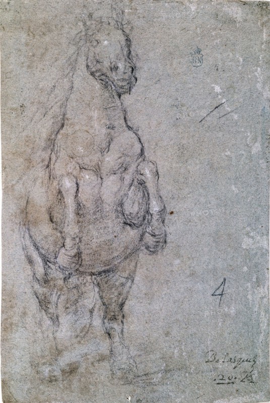 Vélasquez, Dessin d'un cheval de face