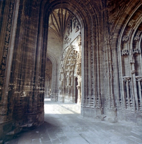 PORTICO
OVIEDO, CATEDRAL DE SAN SALVADOR
ASTURIAS

This image is not downloadable. Contact us for the high res.