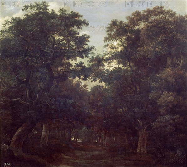 Van Ruysdael, The Forest
