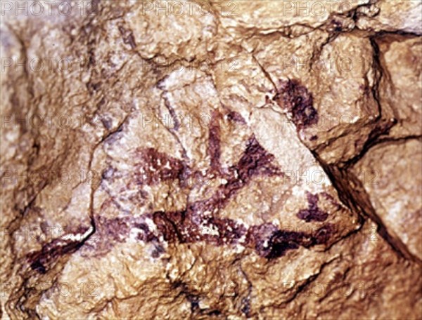 ABRIGO SALTADORA-PINTURA RUPESTRE-ARQUERO DE CAZA- PALEOLITICO Y MESOLITICO 8000-1200 A.C.
PROVINCIA, BARRANCO VALLTORTA
CASTELLON