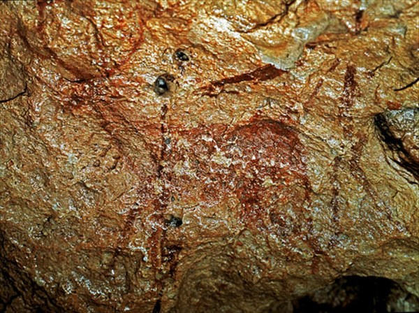 PINTURA RUPESTRE- CIERVO- EPOCA MESOLITICA
PROVINCIA, CUEVA DE ALPERA
ALBACETE