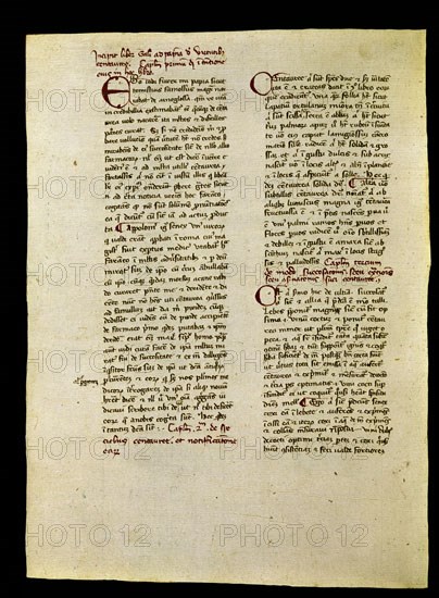 GALENO 129/201
MS F.III.6-VIRTUTIBUS CENTAUREAE AD PAPIAM.FOL 192
SAN LORENZO DEL ESCORIAL, MONASTERIO-BIBLIOTECA
MADRID

This image is not downloadable. Contact us for the high res.