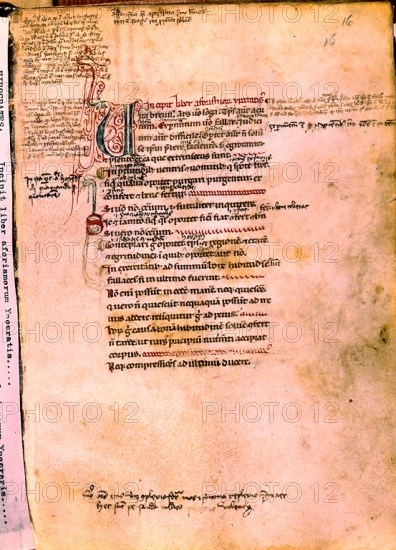 Hippocratic Corpus: Aphorisms