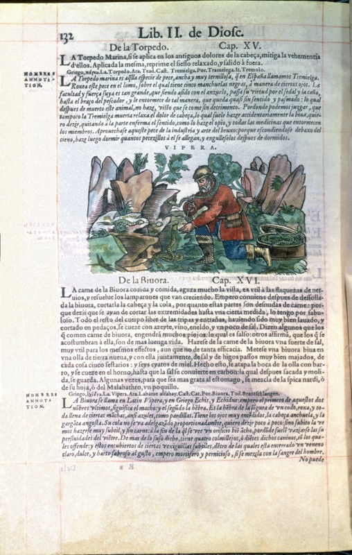 Dioscorides, Medicine book