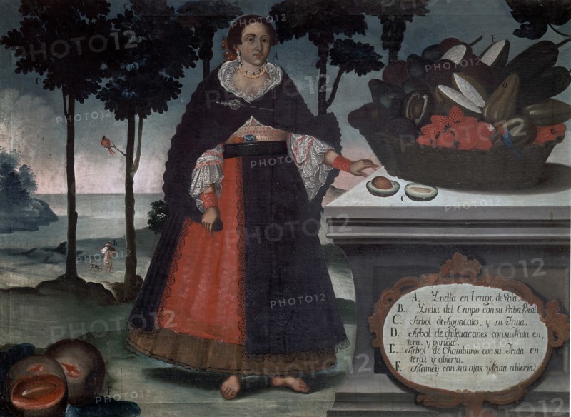 ALBAN VICENTE
FRUTOS DE QUITO 1783-INDIA CON TRAJE DE GALA- PINTURA COLONIAL-S XVIII-ESCUELA QUITEÑA
MADRID, MUSEO DE AMERICA
MADRID