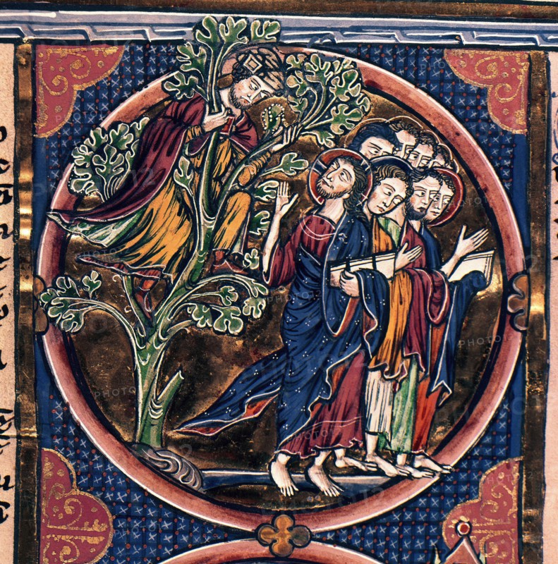 Bible of King Louis of France - Zacchaeus in a Tree