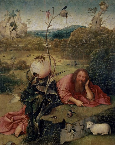 BOSCO EL 1450/1516
SAN JUAN BTA EN MEDITACION
Madrid, Lazaro Galdiano museum