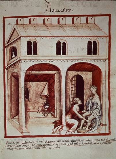 UBUBEHASYM BALDACH 1052/63
FACSIMIL"THEATRUM SANITATIS"MEDICINA-PROPIEDADES DEL AGUA CALIENTE-(PROC  BIB AUSTRIA-SER NOV 2644)
MADRID, CSIC
MADRID