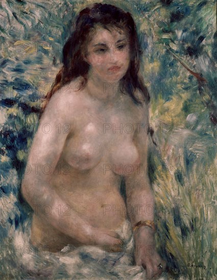RENOIR AUGUSTE 1841/1919
TORSO DE MUJER AL SOL
PARIS, MUSEO DE ORSAY
FRANCIA

This image is not downloadable. Contact us for the high res.