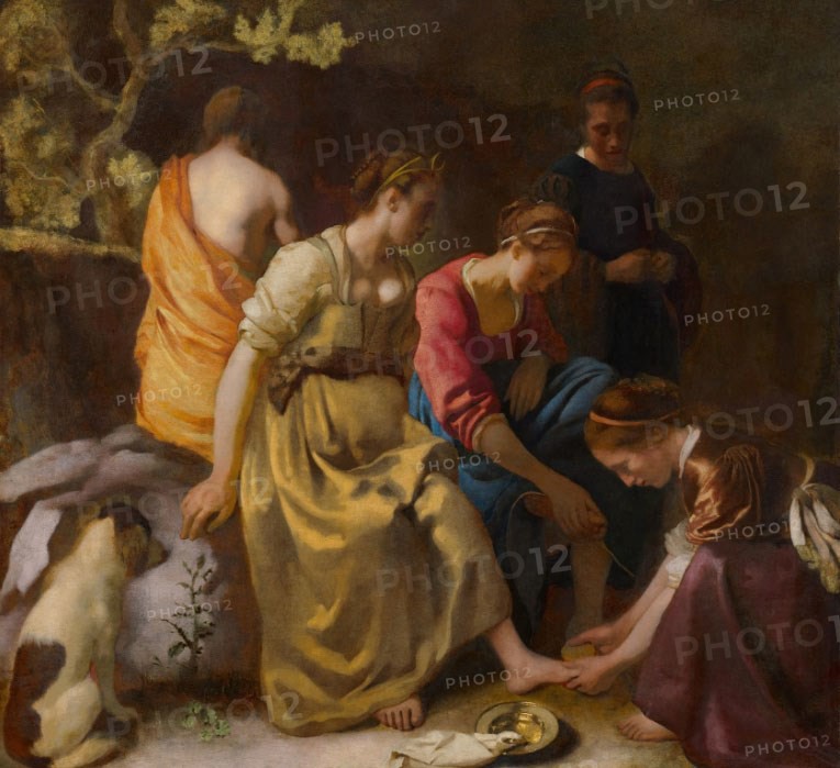 Vermeer, Diane et ses compagnes