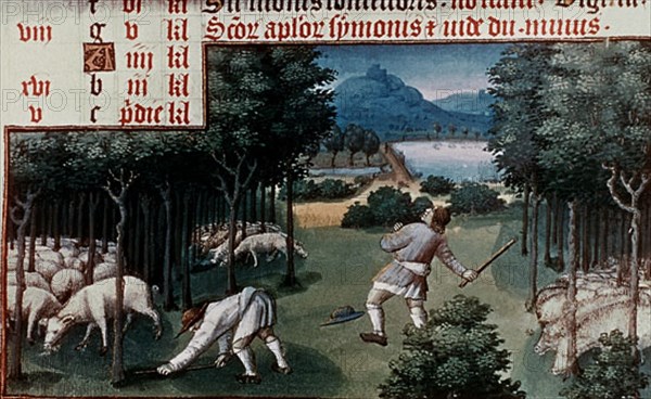 LIBRO DE HORAS DE 1430-PASTORES DE CERDOS TIRANDO BELLOTAS- AL MODO DEL LIBRO HORAS DEL DUQUE BERRY
PARIS, BIBLIOTECA NACIONAL
FRANCIA

This image is not downloadable. Contact us for the high res.
