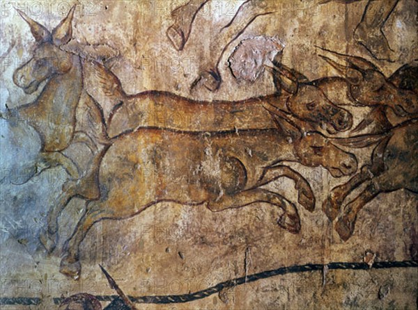 INTERIOR - PINTURA MURAL - DET DEL GRAN PANEL CON LA CACERIA DE ONAGROS - S VIII
QUSEIR AMRA, CASTILLO
JORDANIA

This image is not downloadable. Contact us for the high res.