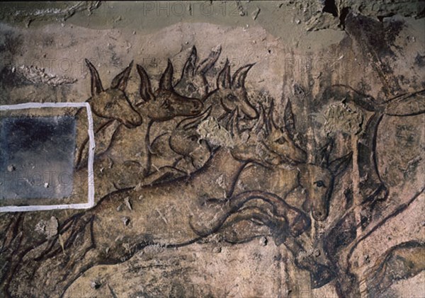 INTERIOR - PINTURA MURAL - DET DEL GRAN PANEL CON LA CACERIA DE ONAGROS - S VIII
QUSEIR AMRA, CASTILLO
JORDANIA

This image is not downloadable. Contact us for the high res.