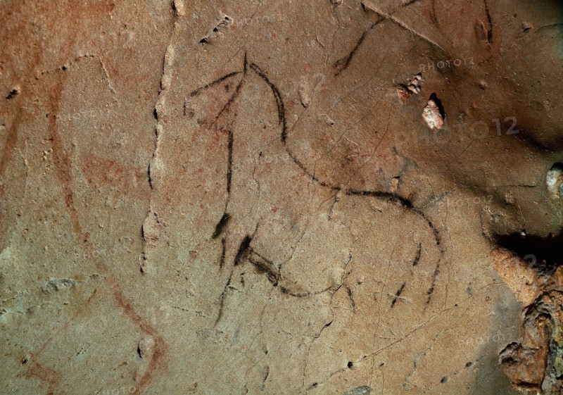 PINTURA RUPESTRE DE UN CABALLO EN LA CUEVA DE LA PASIEGA - PALEOLITICO SUPERIOR
PUENTE VIESGO, CUEVA DE LA PASIEGA
CANTABRIA

This image is not downloadable. Contact us for the high res.