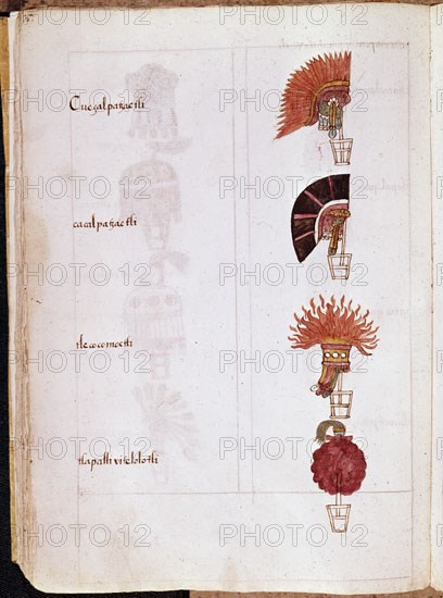 SAHAGUN BERNARDINO DE 1499-1590
CODICE MATRITENSIS
MADRID, ACADEMIA DE HISTORIA
MADRID