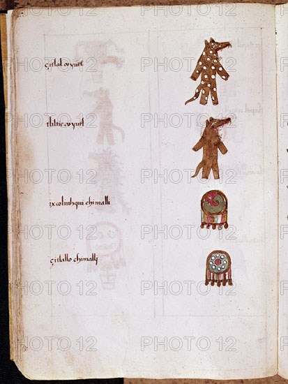 SAHAGUN BERNARDINO DE 1499-1590
CODICE MATRITENSIS
MADRID, ACADEMIA DE HISTORIA
MADRID