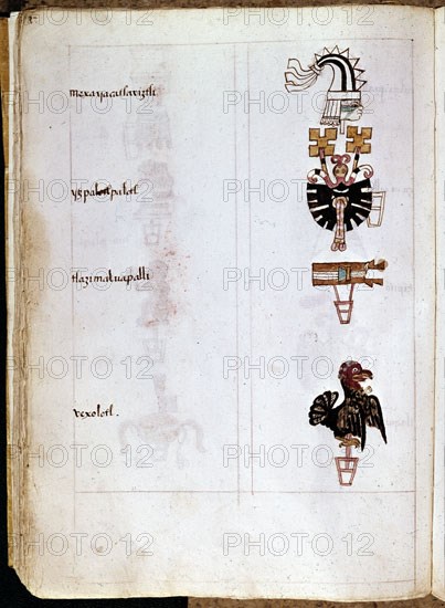 SAHAGUN BERNARDINO DE 1499-1590
CODICE MATRITENSIS-S XVI-CODICE POSTCOLOMBINO
MADRID, ACADEMIA DE HISTORIA
MADRID