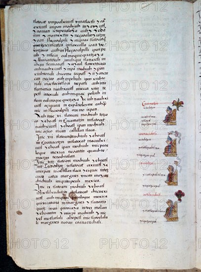 SAHAGUN BERNARDINO DE 1499-1590
CODICE MATRITENSIS-CODICE POSCOLOMBINO S XVI
MADRID, ACADEMIA DE HISTORIA
MADRID