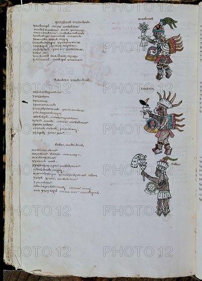 Florentine Codex (Codice matritensis)