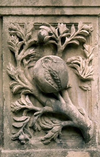 MACHUCA PEDRO 1490/1550
PILAR DE CARLOS V-DET
GRANADA, ALHAMBRA-PILAR DE CARLOS V
GRANADA