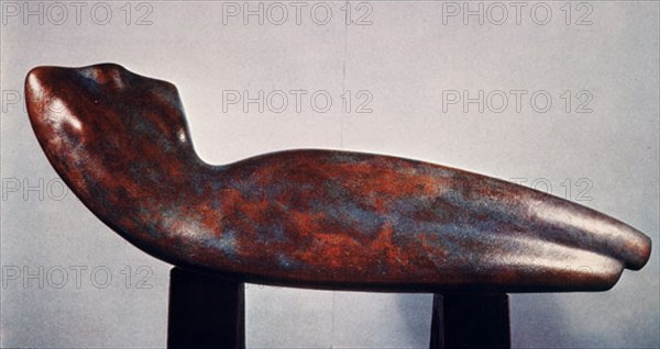 ARCHIPENKO ALEXANDER 1887/1964
TORSO EN EL ESPACIO - 1936 - ESCULTURA EN BRONCE
CHICAGO-ILLINOIS, WHITNEY MUSEUM
EEUU

This image is not downloadable. Contact us for the high res.