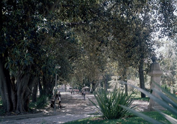 JARDINES DE FLORIDABLANCA
MURCIA, EXTERIOR
MURCIA

This image is not downloadable. Contact us for the high res.