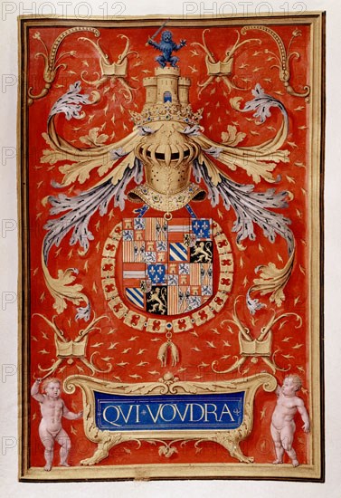 MANUSCRITO-LIBRO TOISON-EMBLEMA DE FELIPE EL HERMOSO
MADRID, INSTITUTO VALENCIA DE DON JUAN
MADRID