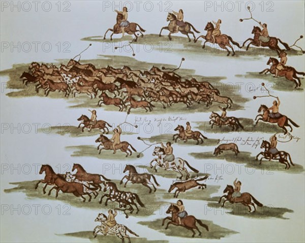PAUCKE FLORIAN 1719/1780
ACUARELA-BOLEANDO BAGUALES
MADRID, MUSEO DE AMERICA
MADRID