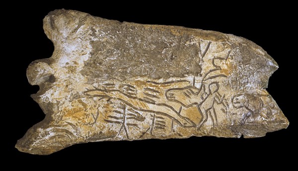 *HUESO TALLADO CON CIERVOS Y HOMBRES-PROC DE LA MADELEINE-PALEOLITICO SUPERIOR 12000 AC
SAN GERMAIN, MUSEO ANTIGUEDADES
FRANCIA