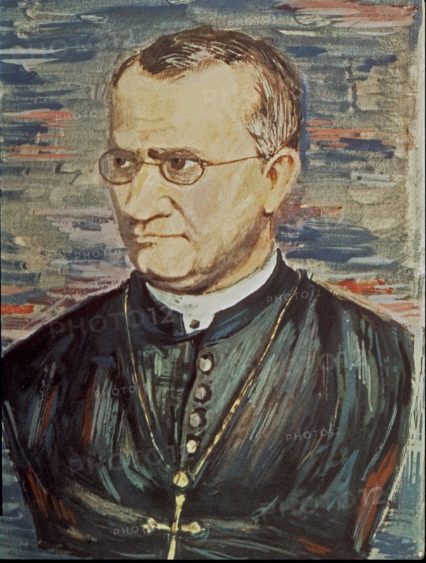 Portrait de Gregor Johann Mendel