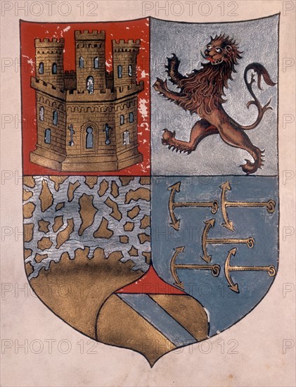 *ESCUDO DE ARMAS DE CRISTOBAL COLON CONCEDIDO POR RRCC
GENOVA, MUSEO NAVAL
ITALIA