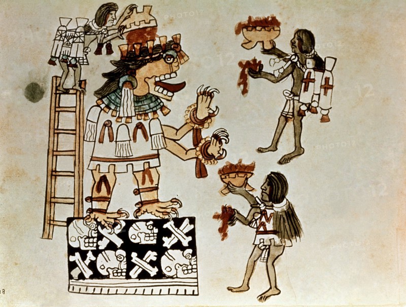 Codex Nuttall
Offrande de sang au dieu de a guerre et du soleil, Huitzilopochtli