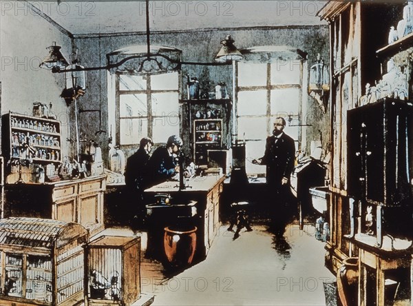*ROBERT KOCH EN SU LABORATORIO 1842-1910

This image is not downloadable. Contact us for the high res.