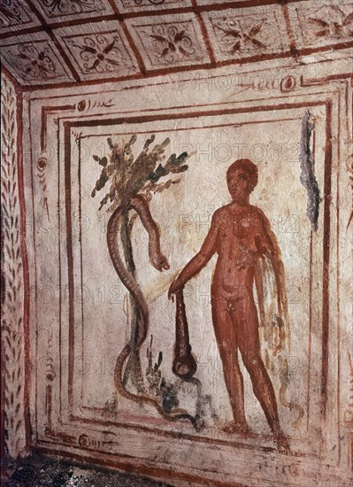 *HERCULES EN EL JARDIN DE LAS HESPERIDES
ROMA, CATACUMBA VIA LATINA
ITALIA