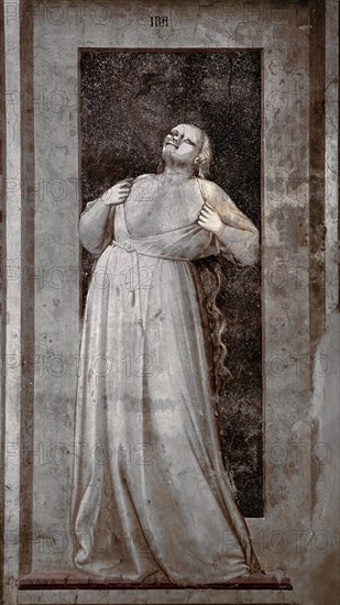 GIOTTO 1266/1337
*PECADO CAPITAL 'LA IRA'
PADUA, CAPILLA SCROVEGNI
ITALIA

This image is not downloadable. Contact us for the high res.