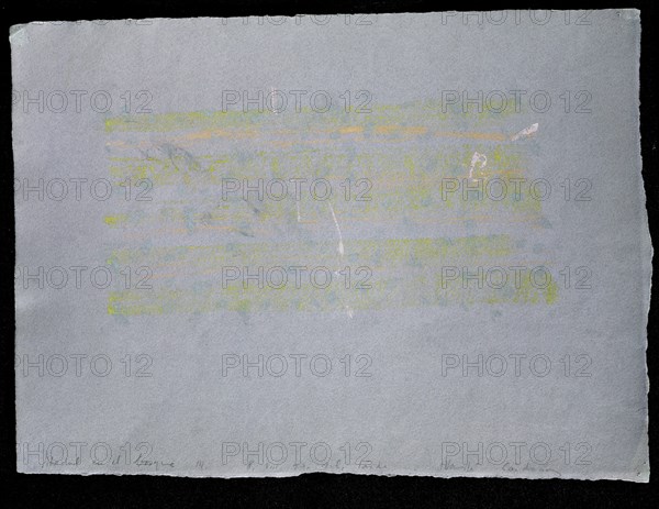 CARDENAS MARTA 1944-
ABEDUL EN EL BOSQUE III-1990-PASTEL/PAPEL
MADRID, GALERIA SOLEDAD LORENZO
MADRID