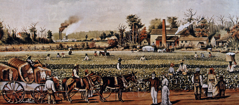 "CULTIVO AGRICOLA"PLANTACION DE ALGODON CON ESCLAVOS DEL SUR