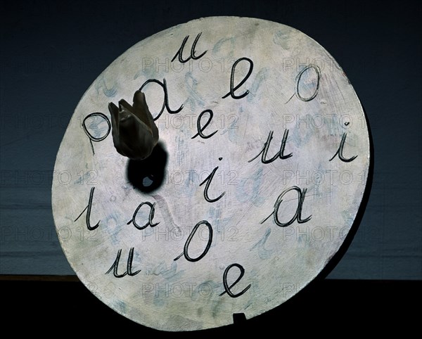 Broodthaers, The Language of Flowers