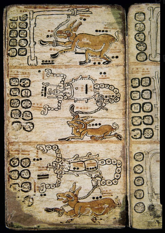 Page du Codex de Madrid