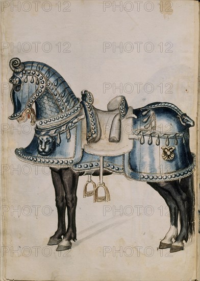 DIBUJO DE LA ARMADURA DEL CABALLO DE CARLOS V - A-37
MADRID, ARMERIA REAL-BIBLIOTECA
MADRID

This image is not downloadable. Contact us for the high res.