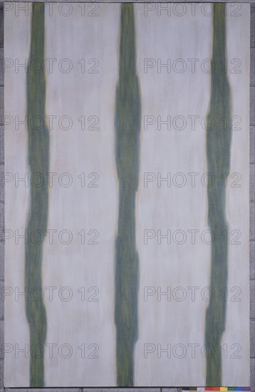 BELLOSILLO JOSE
HACIA LO ALTO-1993-200X127-OLEO/LIENZO
CORUÑA, COLECCION UNION FENOSA
CORUÑA