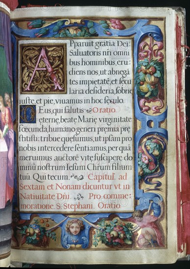 CAPITULARIO-SIG VIT 9 FOL 25
SAN LORENZO DEL ESCORIAL, MONASTERIO-BIBLIOTECA
MADRID

This image is not downloadable. Contact us for the high res.