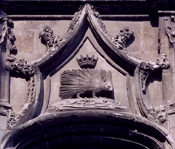 ALA LUIS XII(1498/1503)PUERCOESPIN-DINTEL DE LA PUERTA-EMBLEMA
BLOIS, CASTILLO
FRANCIA

This image is not downloadable. Contact us for the high res.