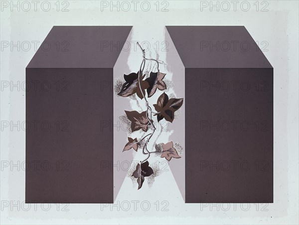 CELIS
DIBUJO EN CARTULINA(FLORES)
MADRID, COLECCION PARTICULAR
MADRID