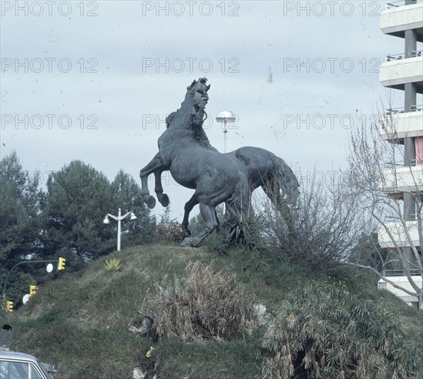 MONUMENTO AL CABALLO
JEREZ DE LA FRONTERA, EXTERIOR
CADIZ

This image is not downloadable. Contact us for the high res.