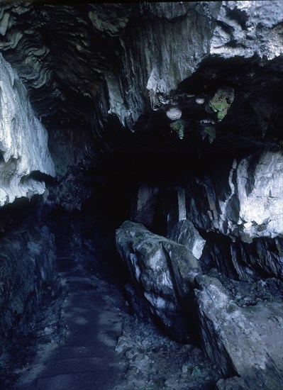 INTERIOR
PIMIANGO, CUEVA DEL PINDAL
ASTURIAS

This image is not downloadable. Contact us for the high res.