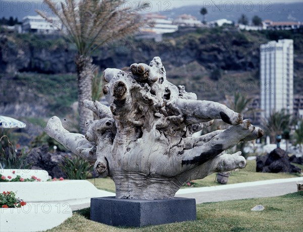 MANRIQUE CESAR 1920/92
PARQUE
PTO CRUZ, EXTERIOR
TENERIFE

This image is not downloadable. Contact us for the high res.