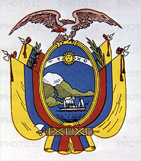 ESCUDO DE ECUADOR

This image is not downloadable. Contact us for the high res.